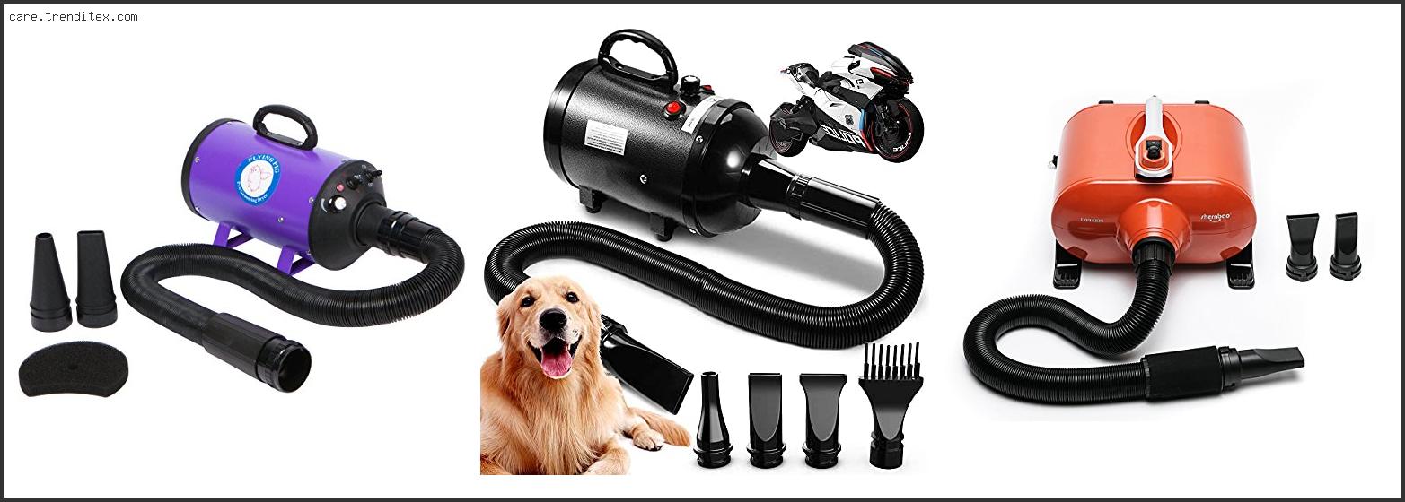 Best Forced Air Dryer For Dogs