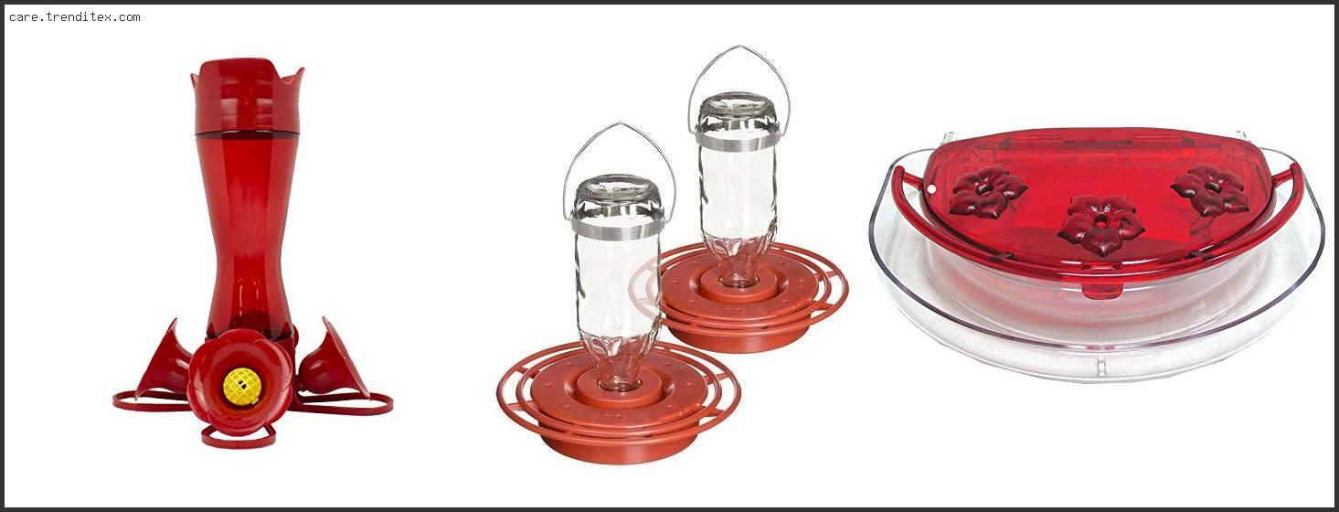 Best 1 8 Oz Hummingbird Feeder