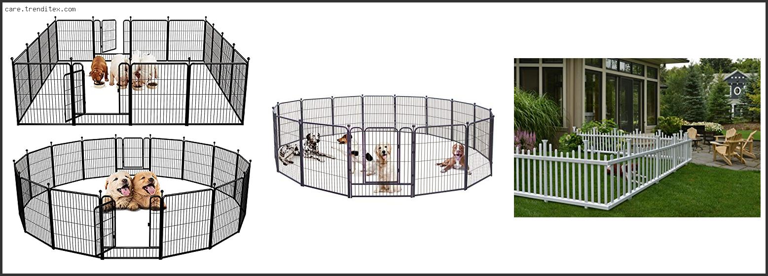 Best Outdoor Dog Fence