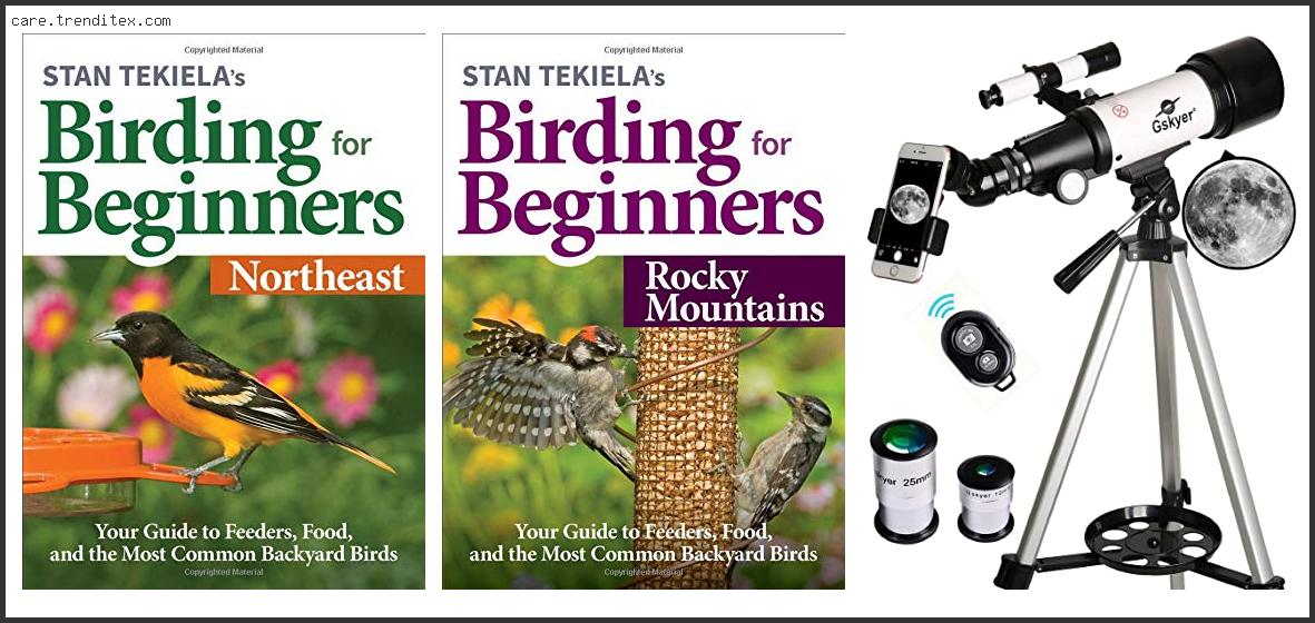 Best Birding Books For Beginners