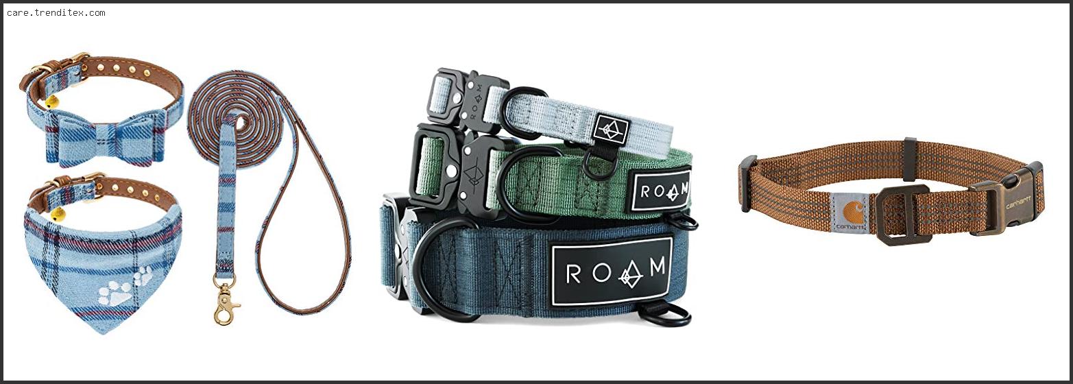 Best Outdoor Dog Collar