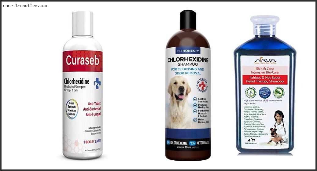 Top 10 Best Dog Shampoo For Staph Infection With Expert