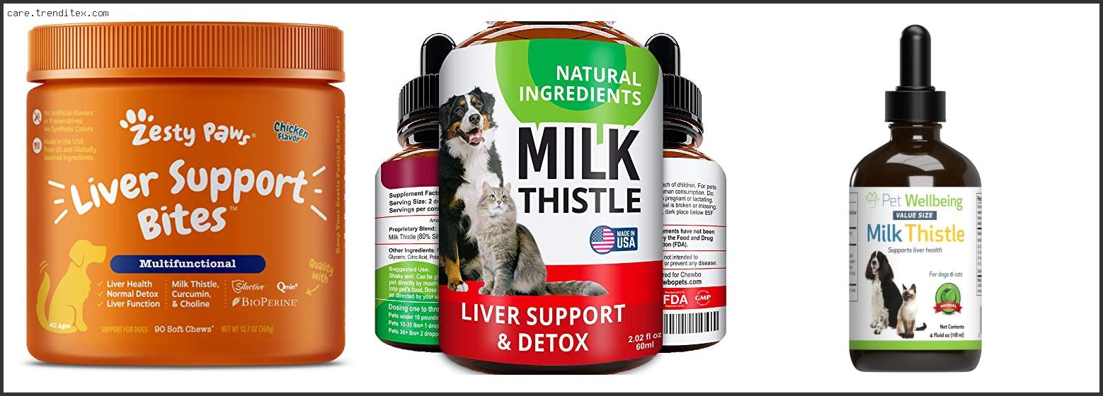 Best Milk Thistle For Dogs