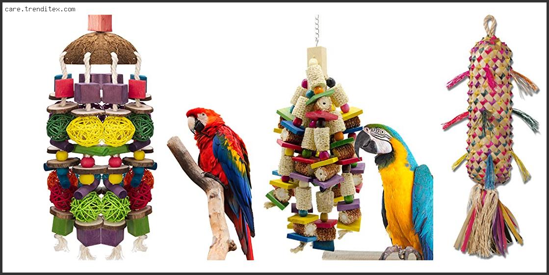 Best Toys For Macaws