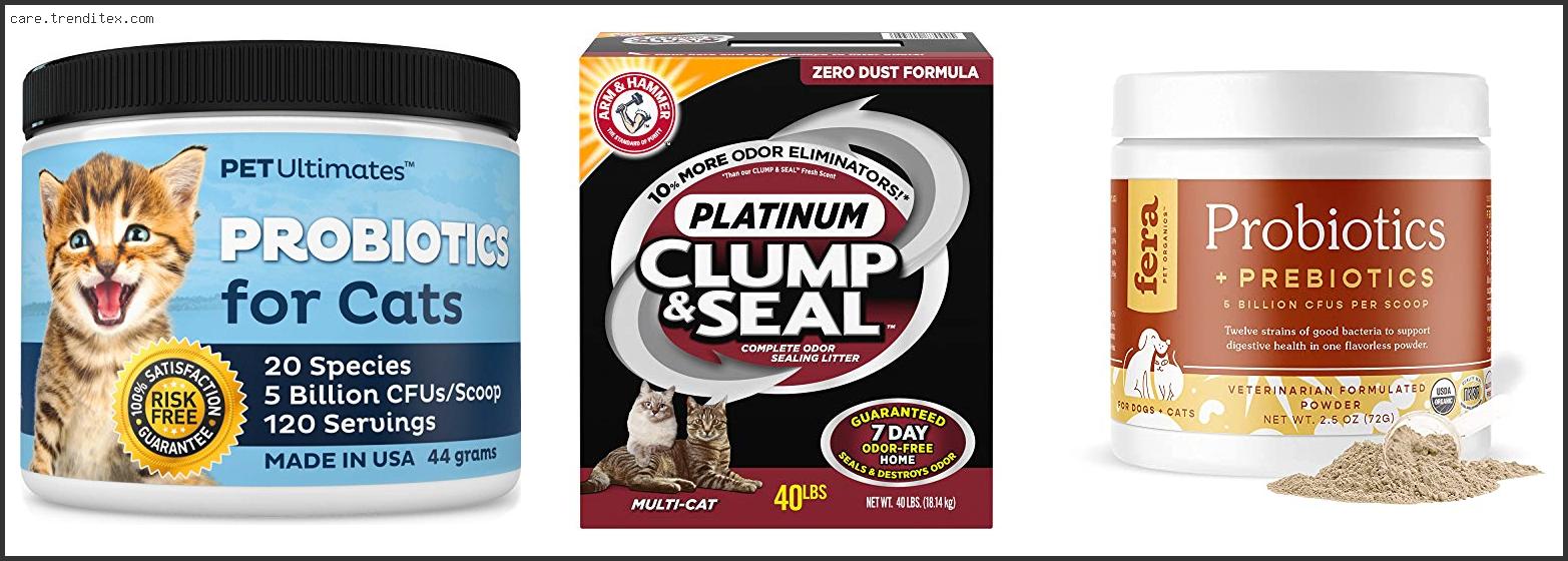 Best Litter For Cats With Diarrhea