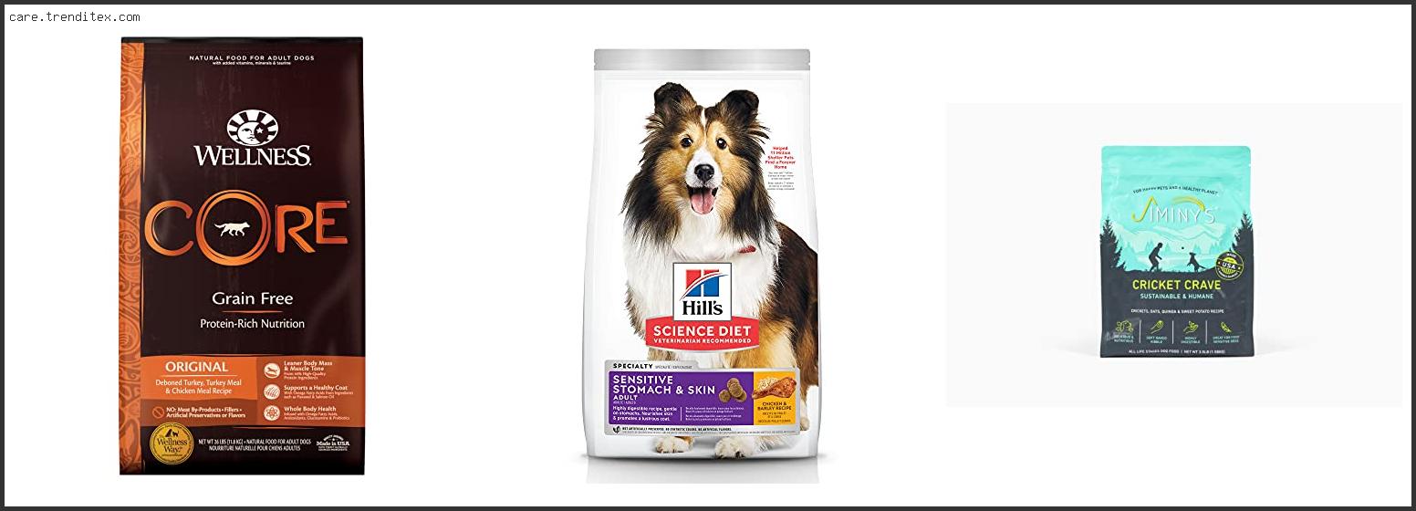 Best Insect Based Dog Food