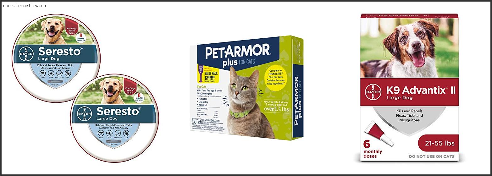 Best Natural Flea And Tick Prevention For Cats