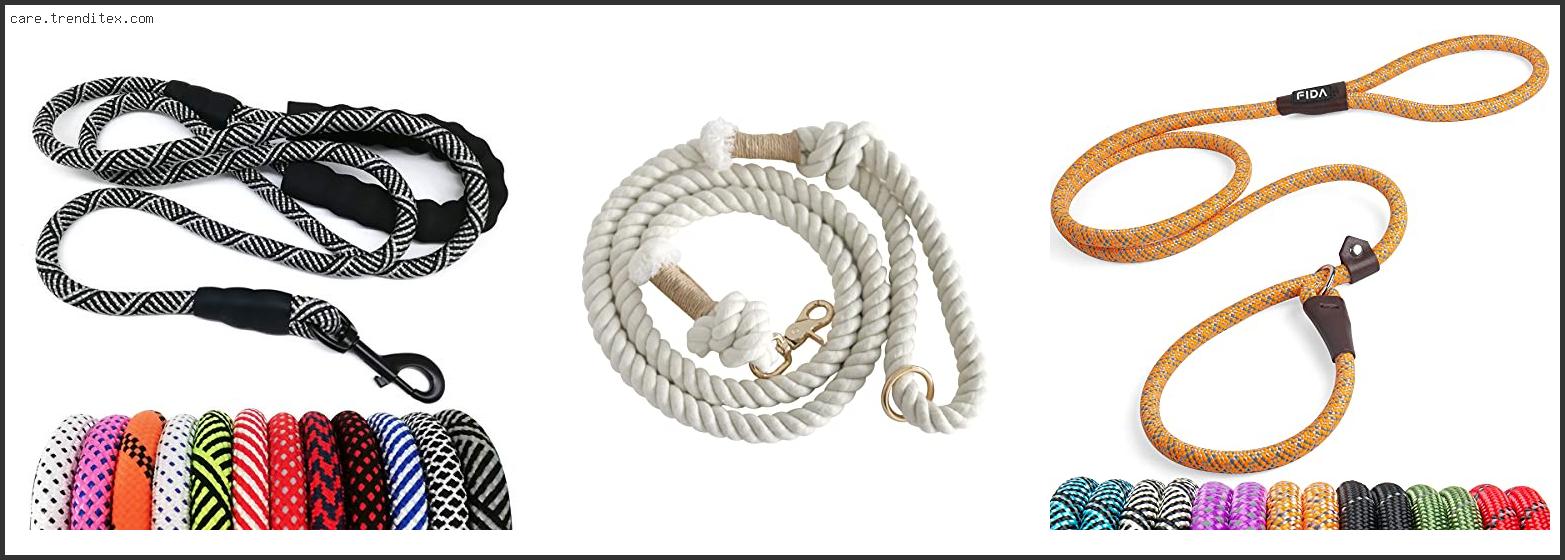 Best Rope Leash For Small Dogs