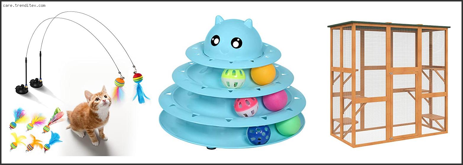 Best Toys For Outdoor Cats