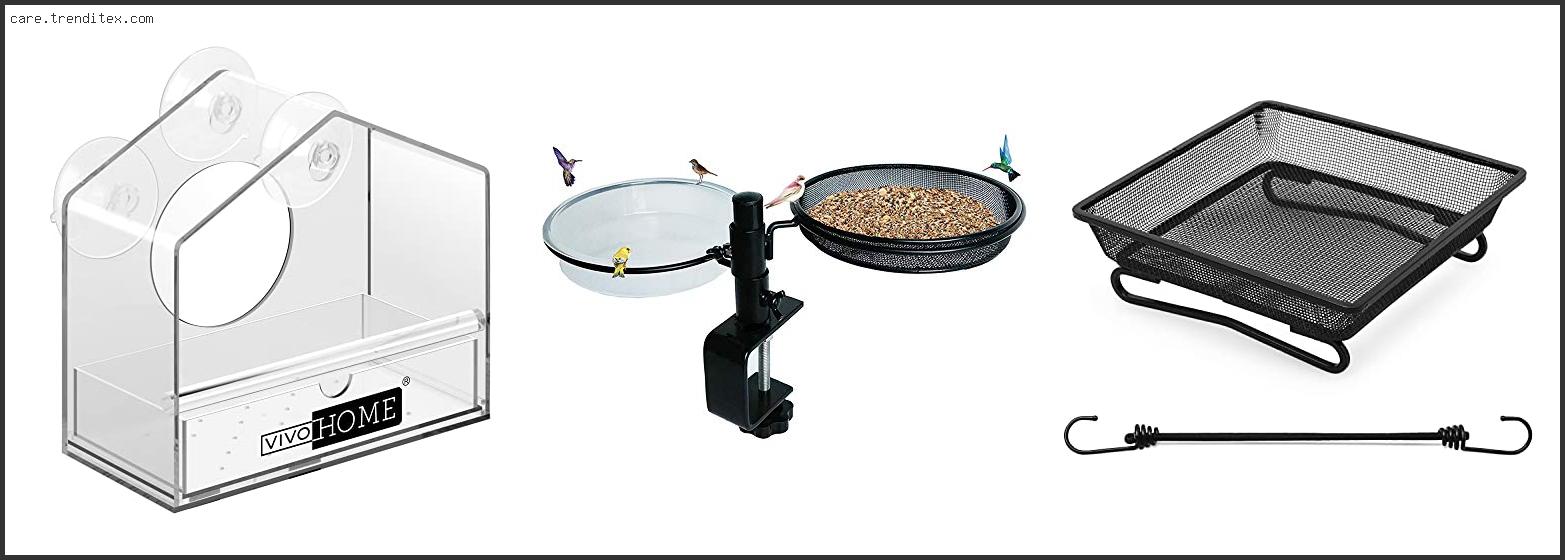 Best Bird Feeder For Balcony