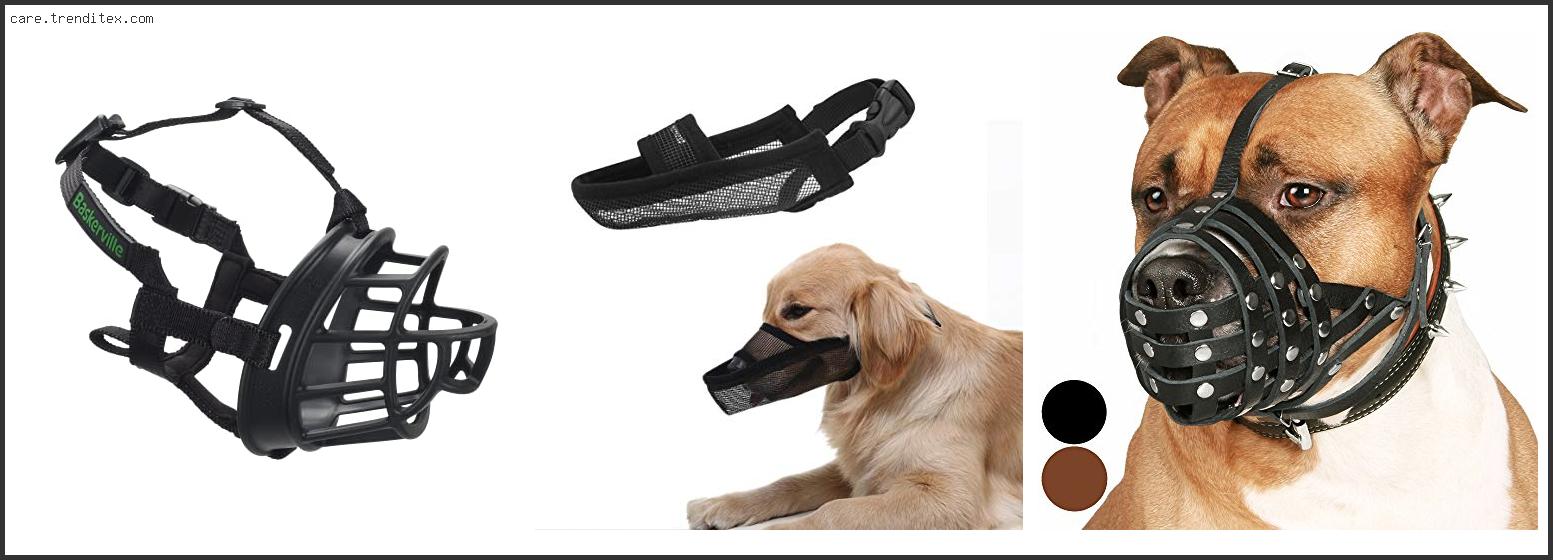 Best Fit Dog Muzzle