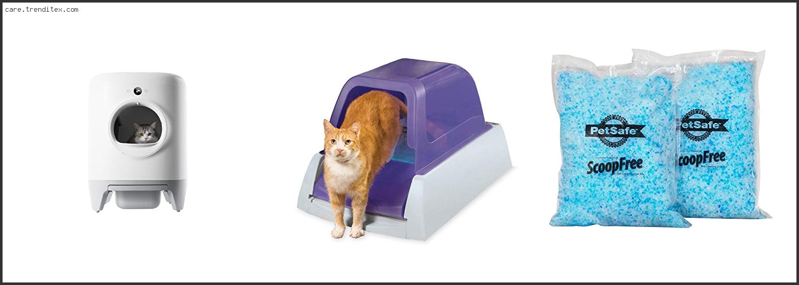 Best Automatic Litter Box For 2 Cats