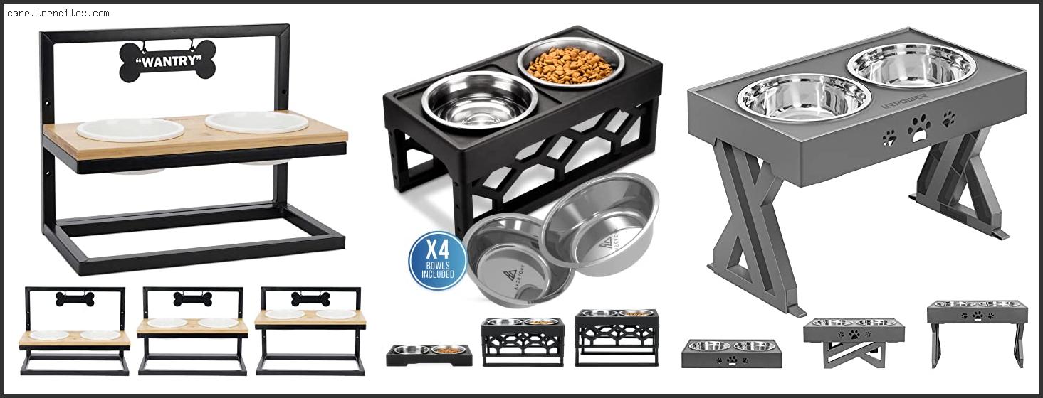 Best Elevated Dog Food Bowls