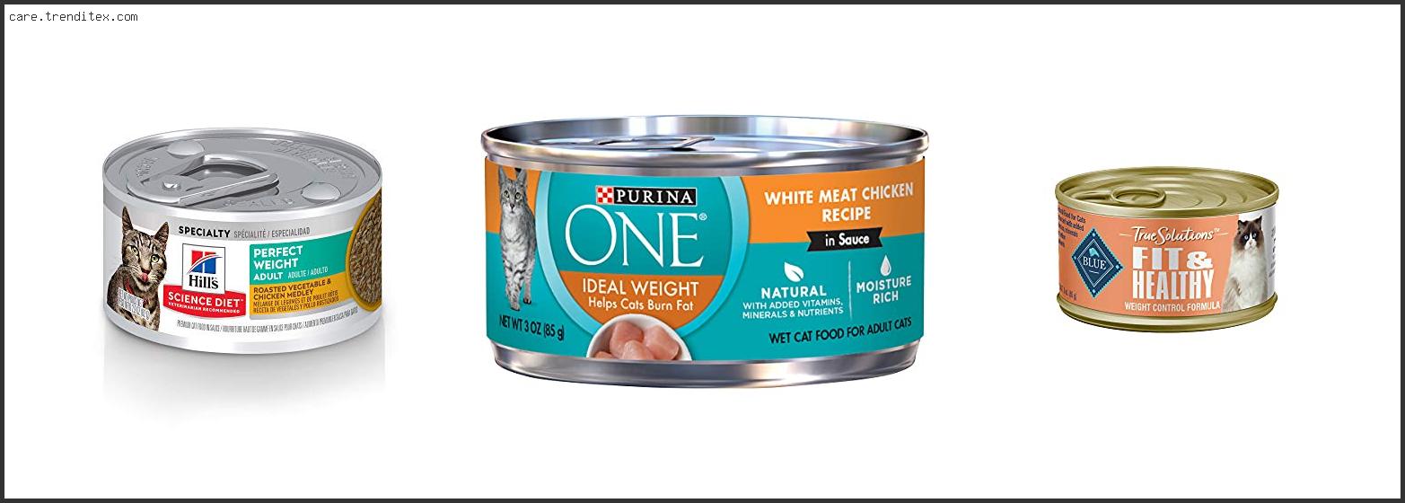 Best Weight Loss Canned Cat Food