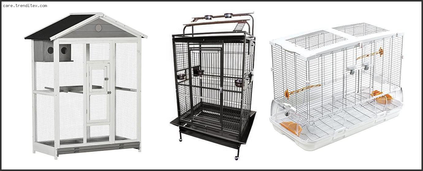 Best Bird Cage For Canary