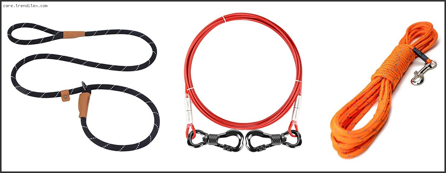 Best Dog Leads For Big Dogs