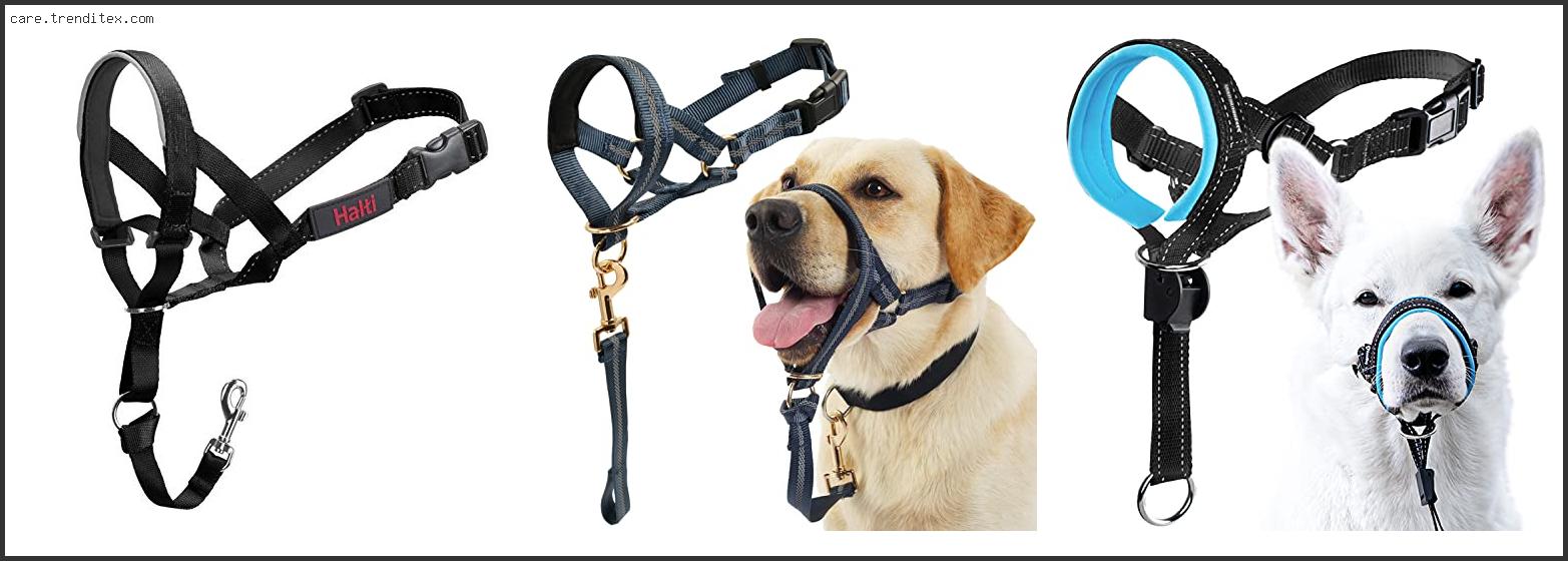 Best Dog Head Halter