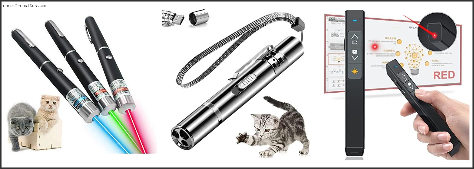 Best Laser Pen For Cats