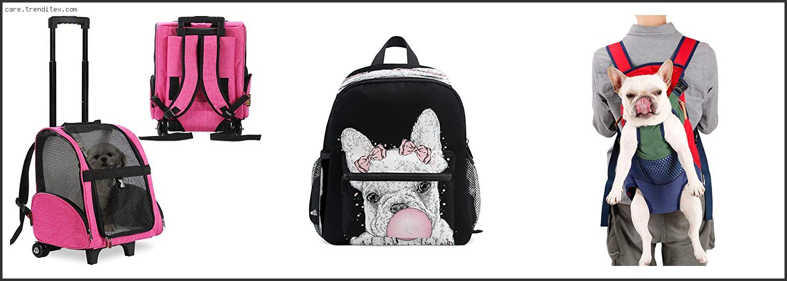 Best Backpack For French Bulldog